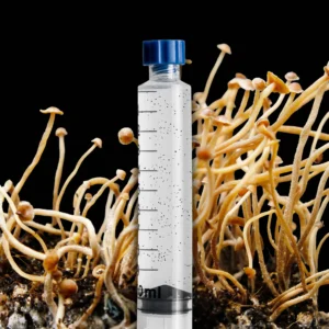 Tampanensis ATL7 Spore Syringe