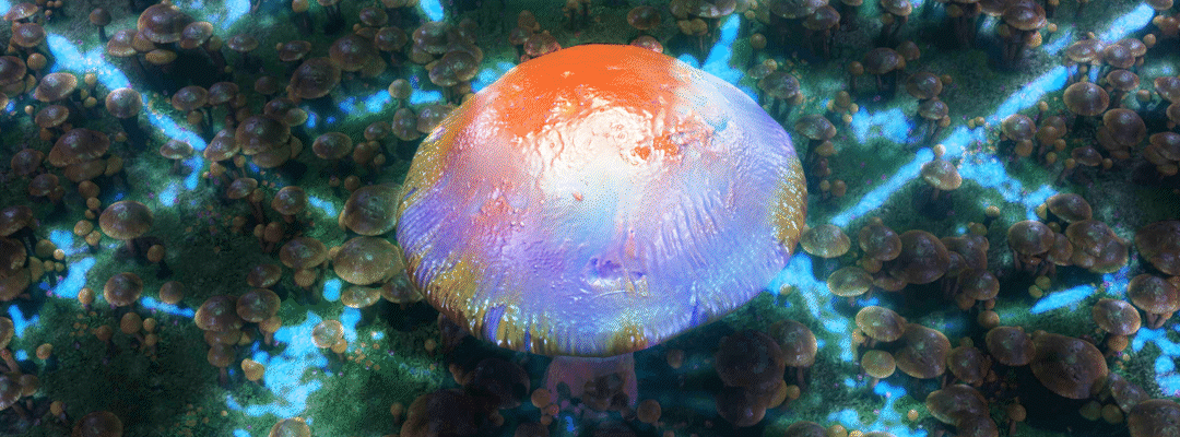 glowing mushroom and mycelium network