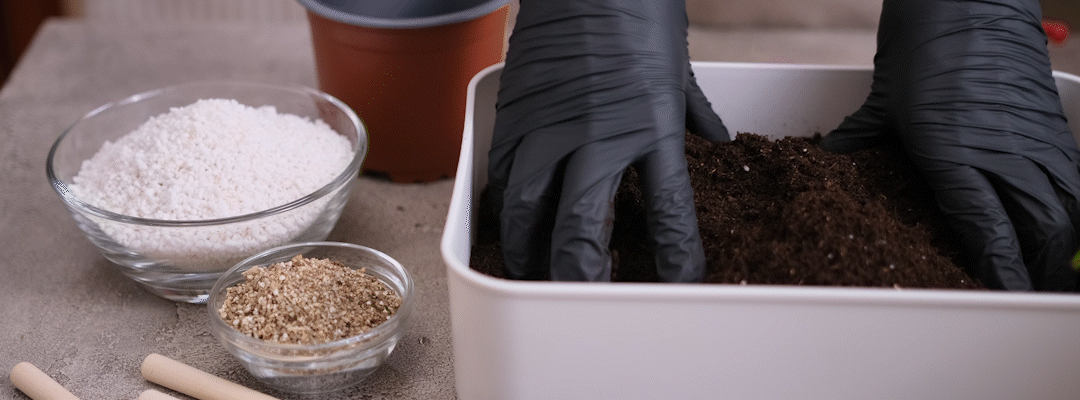 substrate mixing for growing mushrooms