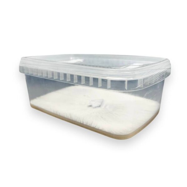 Sac02 Microbox Grow Containers - 124 Quantity (Medium Size - TP1200) - Image 7