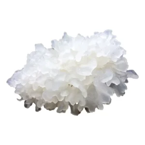 Tremella Snow Fungus Mushroom Exract (raw resin extract)