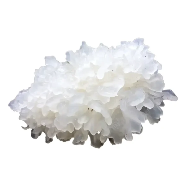 Tremella Snow Fungus Mushroom Exract (raw resin extract)